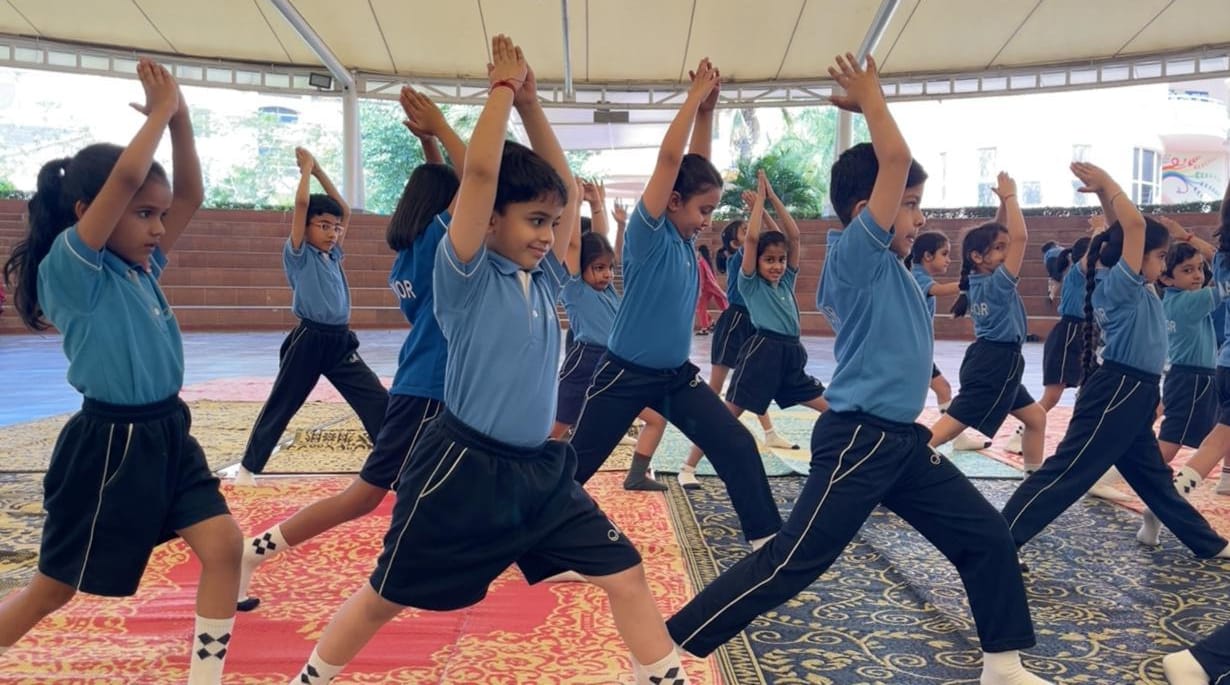 Yoga Safari – Grade 2